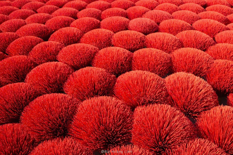 の画像 ミシュランガイド掲載「The East 」レストランディナー付き！フォトジェニックスポット撮影1日ツアー #11