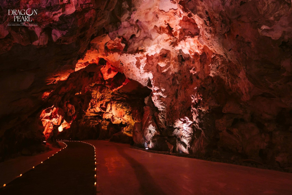 たった1日で感動体験！ 
世界遺産ハロン湾クルーズ×鍾乳洞×3Dショー＆ディナー #1 