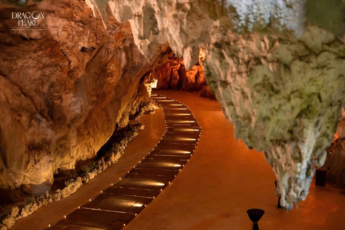 たった1日で感動体験！ 
世界遺産ハロン湾クルーズ×鍾乳洞×3Dショー＆ディナー #2 