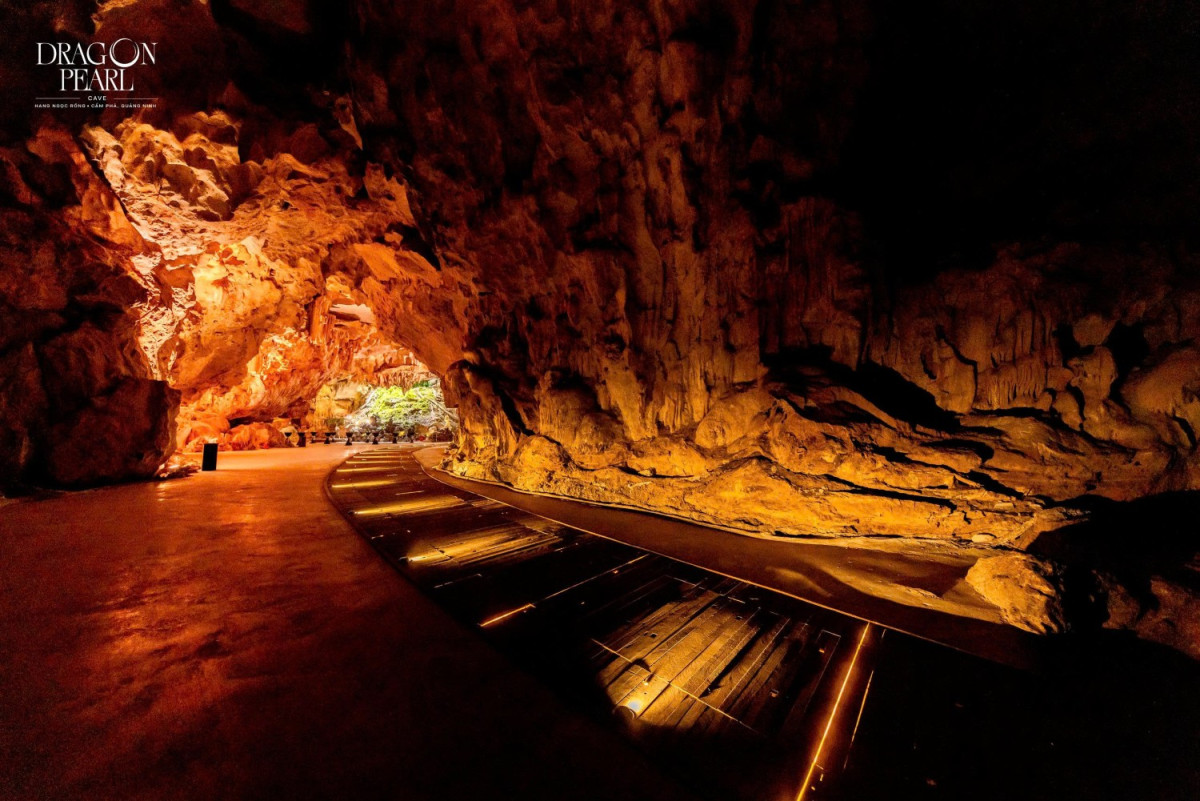 たった1日で感動体験！ 
世界遺産ハロン湾クルーズ×鍾乳洞×3Dショー＆ディナー #3 