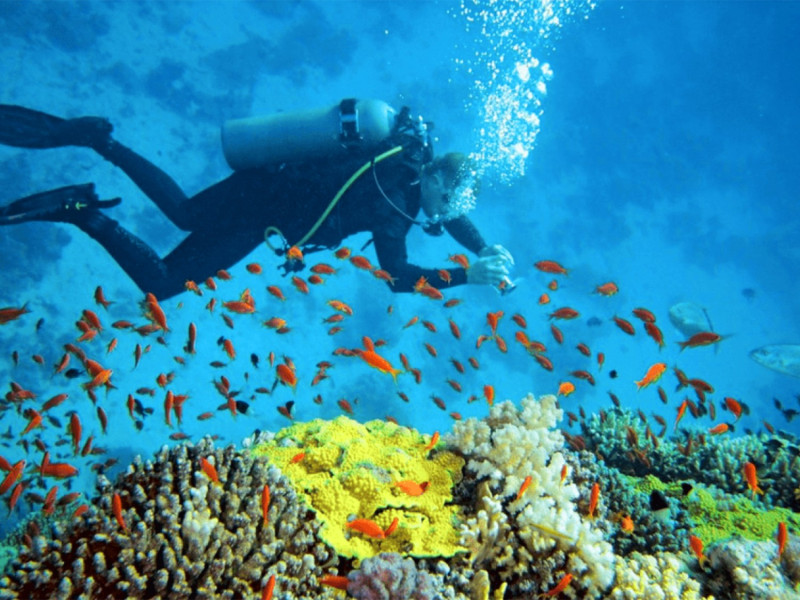 の画像 ニャチャンでシュノーケリング！一日：シュノーケリング体験※日本語ガイド同行 #0