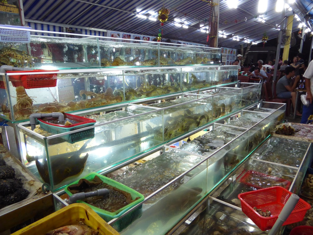 フーコック島1日観光 世界最長ケーブルカーでホントム島訪問＆Kiss Bridge＋チャン渓流＋胡椒農園＋夕日鑑賞＆ナイトマーケットでの夕食 #3 