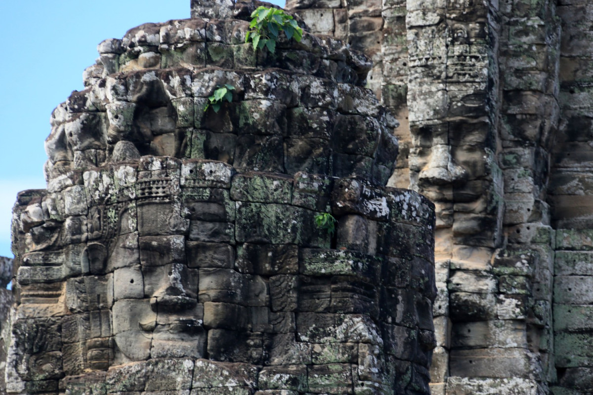 お手軽に満喫！アンコールワット半日貸切観光 お子様連れ歓迎！「朝日鑑賞付／午前発」　人気店チャンレイツリー昼食付プラン #3 