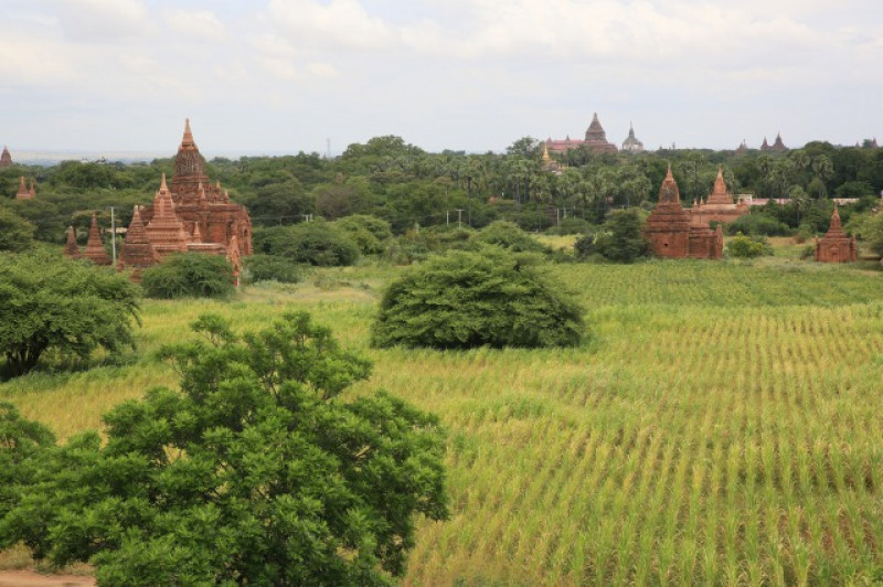 の画像 ヤンゴン発　世界遺産バガン遺跡群日帰り観光＜国内航空券込／ヤンゴンから日本語ガイド同行／昼食付＞ #4