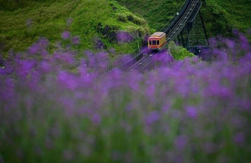 の画像 車で行くサパ!ベトナム最高峰ファンシーパン山&少数民族に出会う旅1泊2日<ハノイ発/車利用/日本語ガイド/薬草風呂体験/サパ名物料理など全食事付> #15