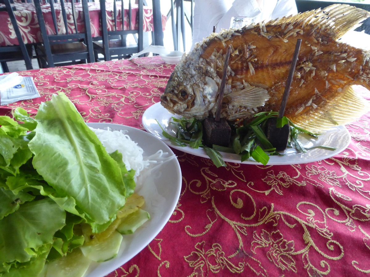 午後出発メコン川クルーズ（メコン名物料理の夕食付き） #16 