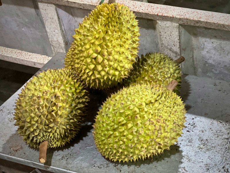 の画像 午後出発メコン川クルーズ(メコン名物料理の夕食付き) #31