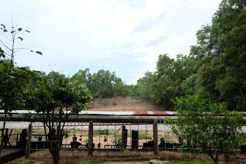 の画像 【オンラインツアー】お家でベトナム旅行~クチ地下トンネル見学~ベトナム戦争の歴史スタディ! #2