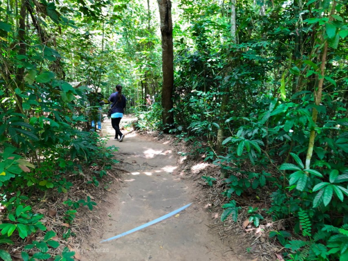 ツアー参加者は日本人のみ！半日：クチ地下トンネル（昼食：フォーセット） #8 