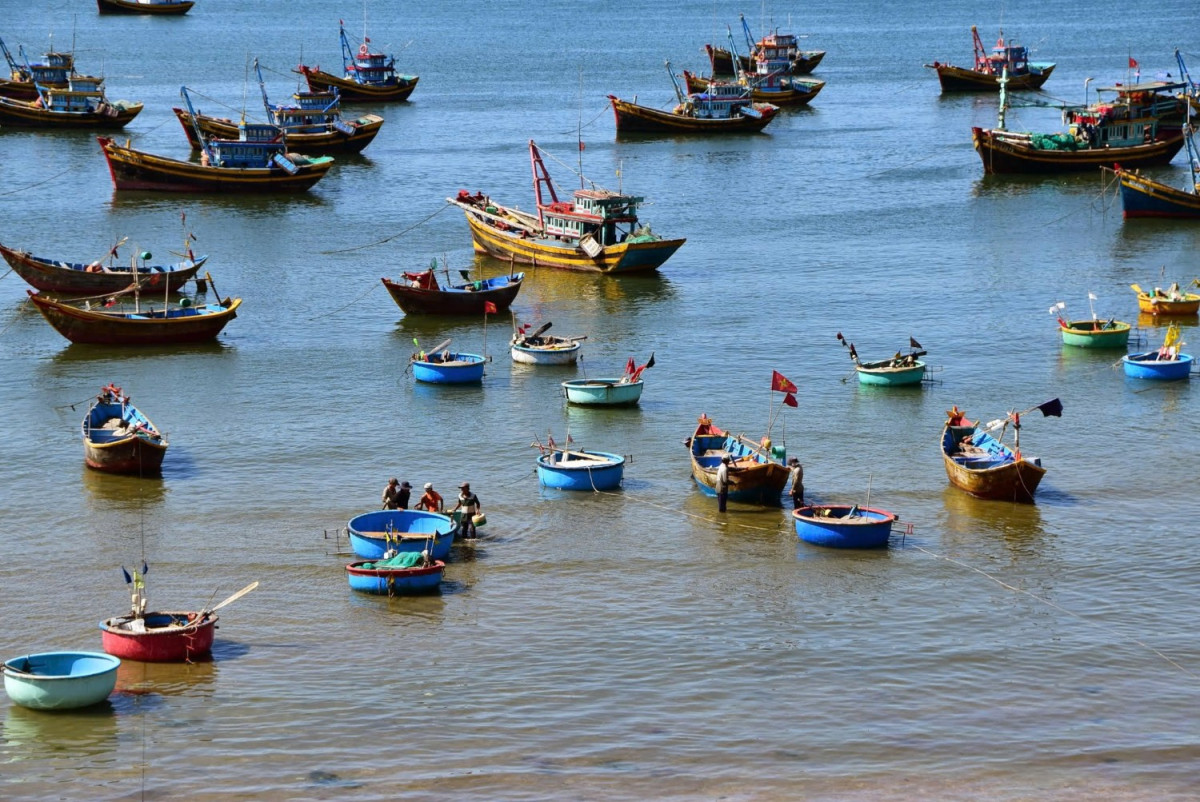 ホーチミン発｜ムイネー1泊2日絶景ツアー(日系企業運行の高速バスで行く)白い砂丘・妖精の渓流・漁村を巡る旅
