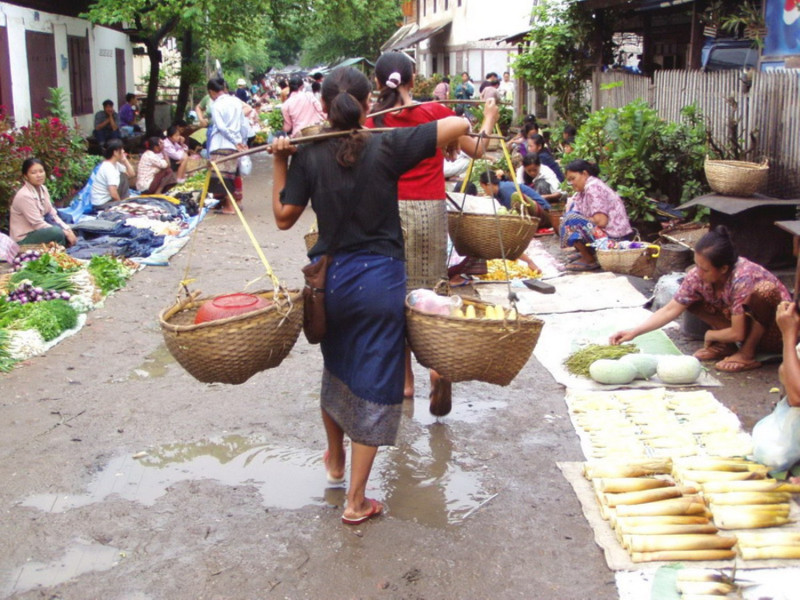 の画像 ビエンチャン発着！ ラオス高速鉄道で行く世界遺産の街ルアンパバーン日帰り観光（昼食・夕食付/日本語ガイド） #0