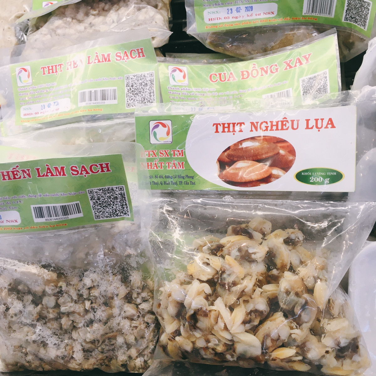 ホイアンを効率よく観光！半日：フーンフンの家＋海のシルクロード博物館＋福建会館＋来遠橋 #15 