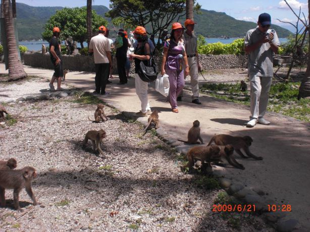 一日：モンキーアイランド＆ヨックレットビーチツアー（昼食付） #5 