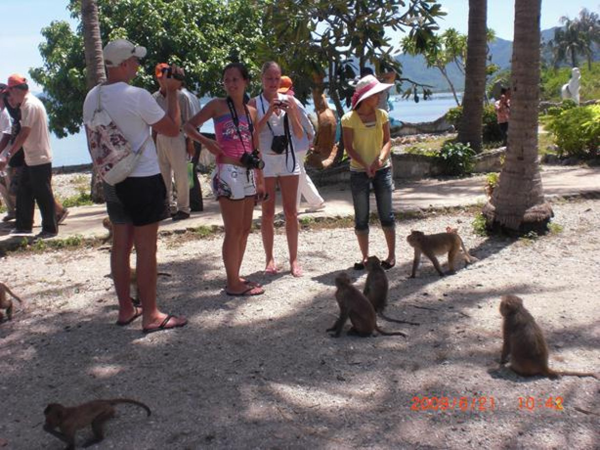 一日：モンキーアイランド＆ヨックレットビーチツアー（昼食付） #4 