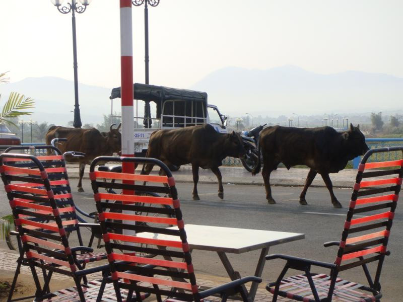 の画像 一日:世界遺産ワットプーと博物館とチョンメック国境(昼食付) #6