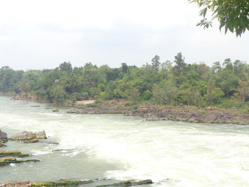 の画像 一日：コーヒー畑見学＆滝で遊ぶ　（タートユーアン、タートファーン)昼食付 #0