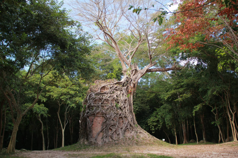 の画像 一日：プノンペン発日帰り世界遺産”空中宮殿“サンボープレイクック遺跡観光 #2
