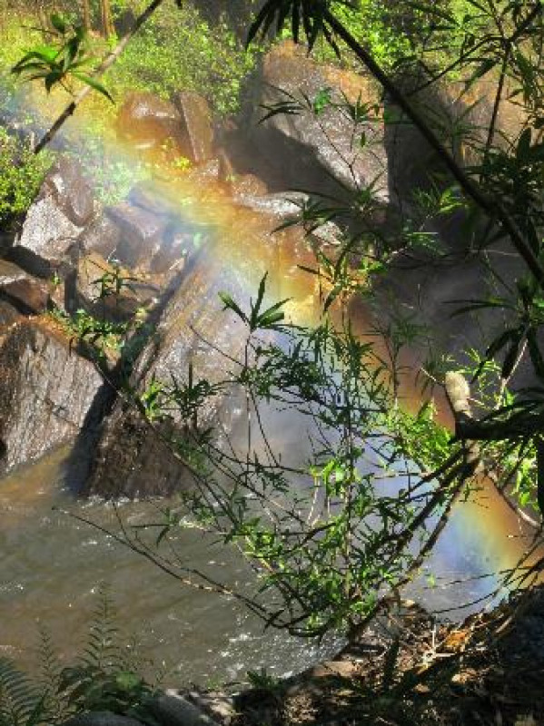 の画像 一日:バンテアイ・スレイ、プノン・クーレン、ベンメリア(昼食付)*アンコールチケット必要 #5