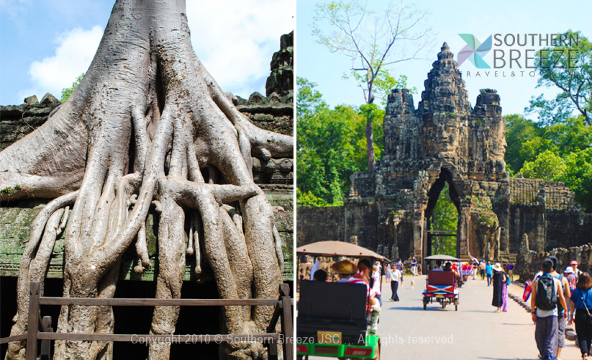 1日券でお得に3大遺跡！一日：アンコール遺跡群+東洋のモナリザ バンテアスレイ ※アンコールチケット必要 #7 