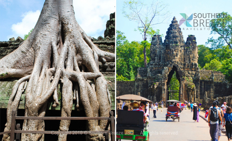 の画像 一日：ベンメリア遺跡+トンレサップ湖（夕日）+ボディSPA(60分）（昼食・日本語ガイド付）
※アンコールチケット必要 #4