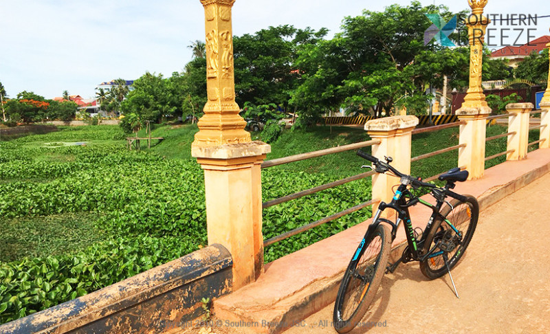 の画像 半日:田舎道チャリンコツアー(日本語ガイド/日本人案内付) #1