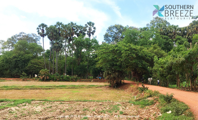 の画像 半日:田舎道チャリンコツアー(日本語ガイド/日本人案内付) #2